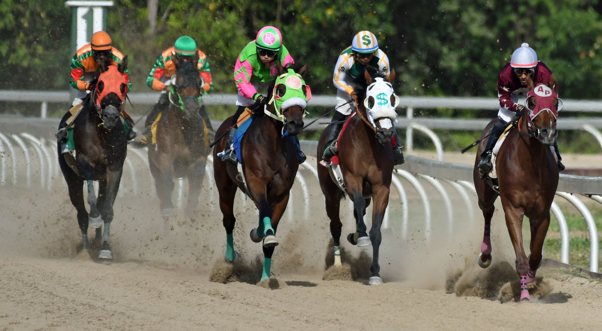 Horse racing